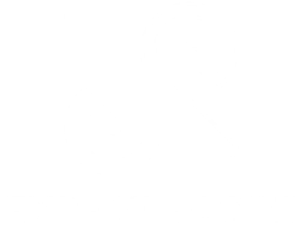 Expert Scope